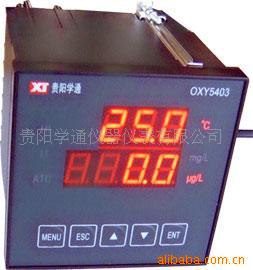 OXY5403 经济型在线溶氧仪