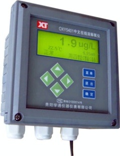 在线溶解氧仪 OXY5401-IX