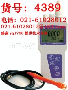 溶解氧测定仪 JPBJ-608