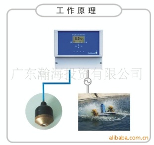 溶氧自动控制仪
