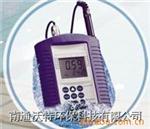 DO200溶解氧测定仪