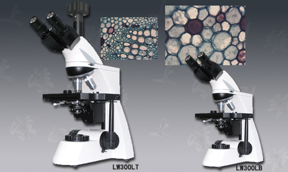 LW300LT/B 生物显微镜