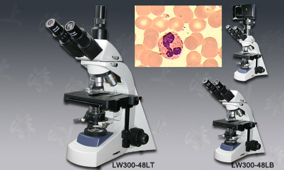 LW300-48LT/B 生物显微镜