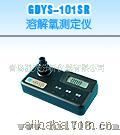 GDYS-101SR溶解氧测定仪