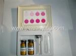 HY-YXSY-B 型亚硝酸盐比色器