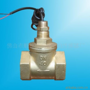 RVPO活塞式水流量传感器