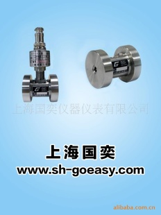 上海国奕LWGY-2型 微小液体流量计