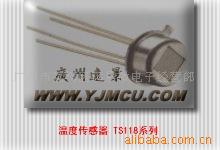 温度传感器