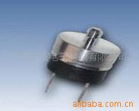 进口温控器