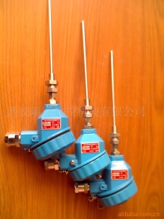 RF-PT100-EX防爆温度传感器
