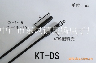 安全温度传感器KT-C