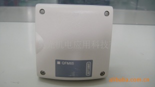 LANDIS  GYR温度传感器QFM65