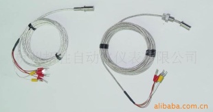 压簧固定式热电偶WRET-01