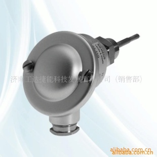 FT-TP/400西门子浸入式温度传感器