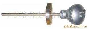 JCJ100ZGF固定法兰式温度传感器