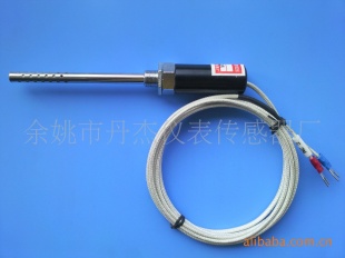 WRNT-202露头型探头式热电偶