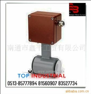 Badger meter 传感器 Typ III