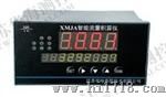 智能流量积算仪XMJA-8000