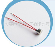 温度传感器微型探头类