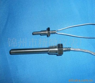 Pt100传感器