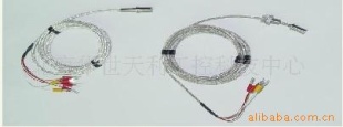 WZC端面热电阻