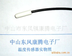 1013高灵敏度高精确度温度传感器