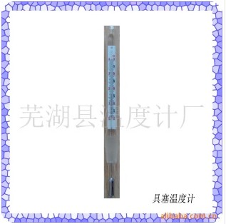 具塞温度计