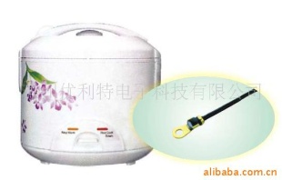 蒸温度传感器CA Type