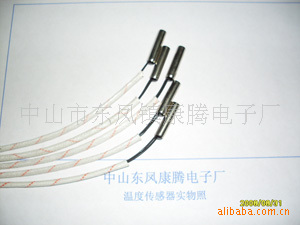 安全温度传感器