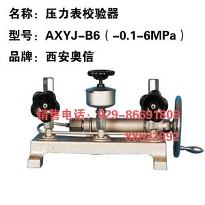 压力表校验器AXYJ-B6 