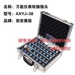 仪表转换接头AXYJ-38 