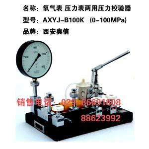 压力表两用压力校验器AXYJ-B100K 