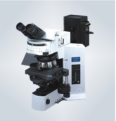 OLYMPUS金相显微镜BX51M/BX51 