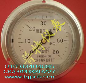 轴向带边耐震压力表YTN100ZT