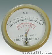 WHM5型温湿度表