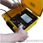 SULFUMA型硫酰氟检测仪