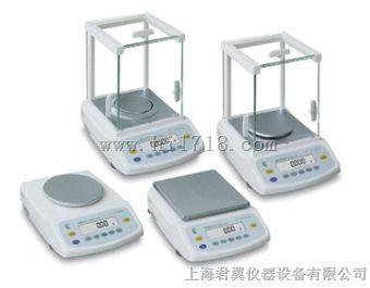 BSA系列标准型电子天平
