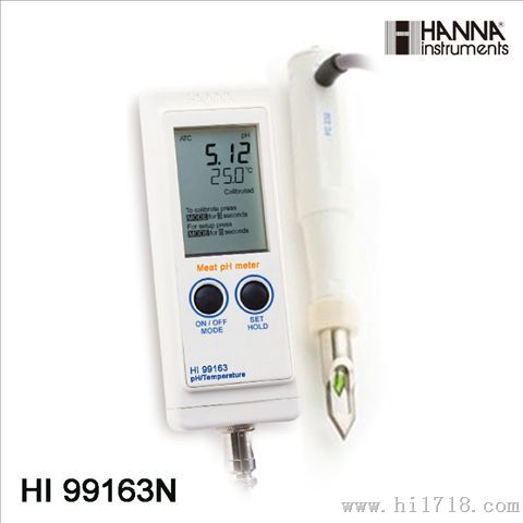 哈纳 HI99163N pH/℃测定仪