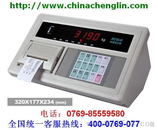 XK3190-A9P称重显示器