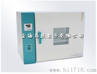 电热恒温干燥箱