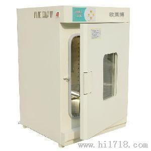 70升立式鼓风干燥箱DHG-9070