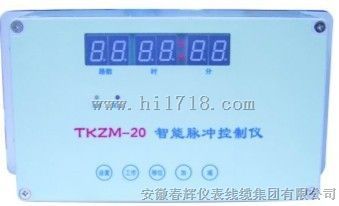 TKZM-11智能脉冲控制仪