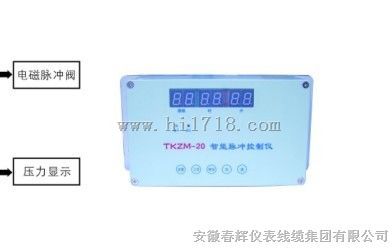 TKZM-20智能脉冲控制仪