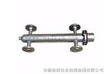 UDZ-300电极式液位传感器