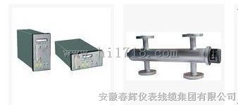 UDZ-300电极式液位传感器