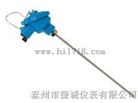 防腐PT100铂电阻