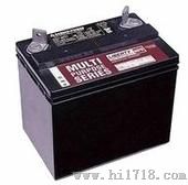 大力神蓄电池12V100AH