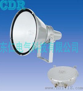 GT101 防水防尘防震投光灯