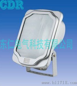 GT302防水防尘防震防眩灯 NSC9700