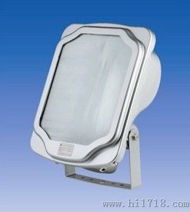 GT302防水防尘防震防眩灯 NSC9700